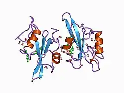 1a08: C-SRC (SH2 DOMAIN) COMPLEXED WITH ACE-DIFLUORO PHOSPHOTYR-GLU-(N,N-DIPENTYL AMINE)