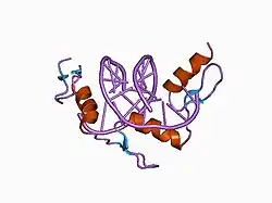1a1j: RADR (ZIF268 VARIANT) ZINC FINGER-DNA COMPLEX (GCGT SITE)