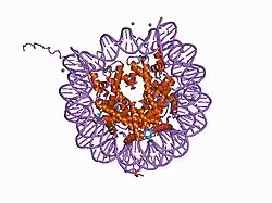 1aoi: COMPLEX BETWEEN NUCLEOSOME CORE PARTICLE (H3,H4,H2A,H2B) AND 146 BP LONG DNA FRAGMENT
