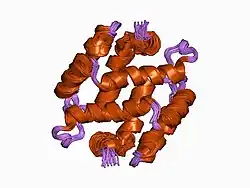 1b4c: SOLUTION STRUCTURE OF RAT APO-S100B USING DIPOLAR COUPLINGS