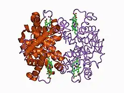 1bbb: A THIRD QUATERNARY STRUCTURE OF HUMAN HEMOGLOBIN A AT 1.7-ANGSTROMS RESOLUTION