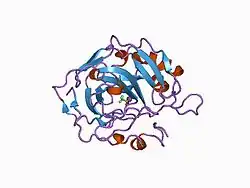 1bcd: X-RAY CRYSTALLOGRAPHIC STRUCTURE OF A COMPLEX BETWEEN HUMAN CARBONIC ANHYDRASE II AND A NEW TOPICAL INHIBITOR, TRIFLUOROMETHANE SULPHONAMIDE