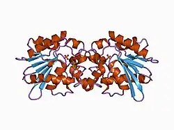 1c7z: REGULATORY COMPLEX OF FRUCTOSE-2,6-BISPHOSPHATASE