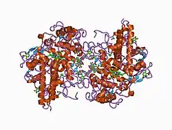 1cxp: CRYOGENIC CRYSTAL STRUCTURE OF HUMAN MYELOPEROXIDASE ISOFORM C