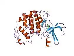1dm2: HUMAN CYCLIN-DEPENDENT KINASE 2 COMPLEXED WITH THE INHIBITOR HYMENIALDISINE