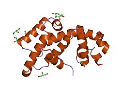 1emu: STRUCTURE OF THE AXIN RGS-HOMOLOGOUS DOMAIN IN COMPLEX WITH A SAMP REPEAT FROM APC