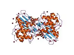 1fj2: Crystal structure of the human acyl protein thioesterase 1 at 1.5 A resolution