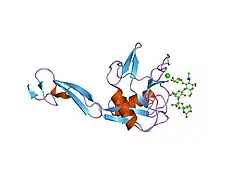 1g1t: CRYSTAL STRUCTURE OF E-SELECTIN LECTIN/EGF DOMAINS COMPLEXED WITH SLEX