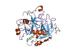 1g32: THROMBIN INHIBITOR COMPLEX
