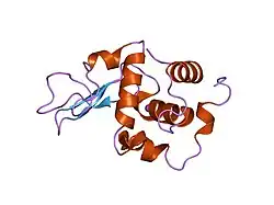 1gay: CRYSTAL STRUCTURE OF MUTANT HUMAN LYSOZYME SUBSTITUTED AT THE SURFACE POSITIONS