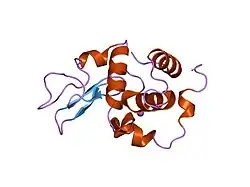 1gf6: BURIED POLAR MUTANT HUMAN LYSOZYME