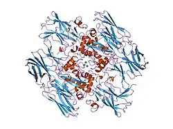 1ggy: HUMAN FACTOR XIII WITH YTTERBIUM BOUND IN THE ION SITE
