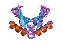 1gjz: SOLUTION STRUCTURE OF A DIMERIC N-TERMINAL FRAGMENT OF HUMAN UBIQUITIN