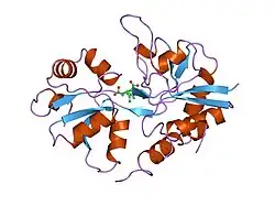 1gr2: STRUCTURE OF A GLUTAMATE RECEPTOR LIGAND BINDING CORE (GLUR2) COMPLEXED WITH KAINATE