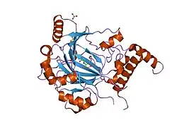 1h2k: FACTOR INHIBITING HIF-1 ALPHA IN COMPLEX WITH HIF-1 ALPHA FRAGMENT PEPTIDE