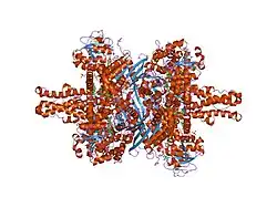 1hwy: BOVINE GLUTAMATE DEHYDROGENASE COMPLEXED WITH NAD AND 2-OXOGLUTARATE