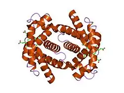 1i3e: HUMAN AZIDO-MET HEMOGLOBIN BART'S (GAMMA4)
