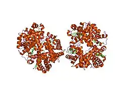 1j41: Direct observation of photolysis-induced tertiary structural changes in human haemoglobin; Crystal structure of alpha(Ni)-beta(Fe) hemoglobin (laser photolysed)