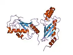 1j7d: Crystal Structure of hMms2-hUbc13
