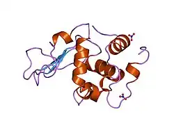 1jkb: HUMAN LYSOZYME MUTANT WITH GLU 35 REPLACED BY ALA