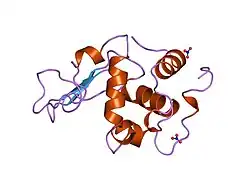 1jkc: HUMAN LYSOZYME MUTANT WITH TRP 109 REPLACED BY PHE