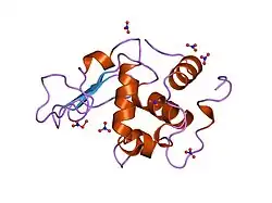 1jsf: FULL-MATRIX LEAST-SQUARES REFINEMENT OF HUMAN LYSOZYME