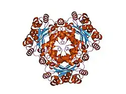 1jxv: Crystal Structure of Human Nucleoside Diphosphate Kinase A