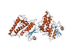 1k0o: Crystal structure of a soluble form of CLIC1. An intracellular chloride ion channel