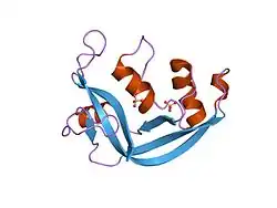 1k2a: Modified Form of Eosinophil-derived Neurotoxin