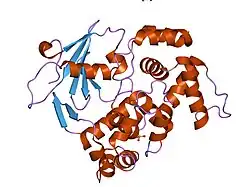 1ko9: Native Structure of the Human 8-oxoguanine DNA Glycosylase hOGG1