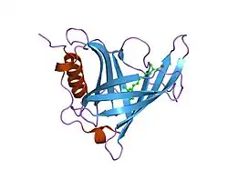 1kt6: Crystal structure of bovine holo-RBP at pH 9.0
