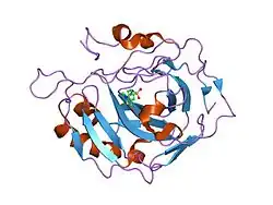 1kwr: HUMAN CARBONIC ANHYDRASE II COMPLEXED WITH INHIBITOR 0134-36