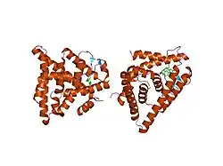1l2j: Human Estrogen Receptor beta Ligand-binding Domain in Complex with (R,R)-5,11-cis-diethyl-5,6,11,12-tetrahydrochrysene-2,8-diol