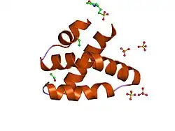1l9l: GRANULYSIN FROM HUMAN CYTOLYTIC T LYMPHOCYTES