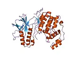 1lew: Crystal structure of MAP kinase p38 complexed to the docking site on its nuclear substrate mef2a