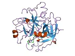 1lhd: HUMAN ALPHA-THROMBIN COMPLEXED WITH AC-(D)PHE-PRO-BOROLYS-OH