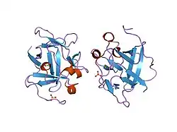 1m16: Human Acidic Fibroblast Growth Factor. 141 Amino Acid Form with Amino Terminal His Tag and Leu 44 Replaced with Phe (L44F), Leu 73 Replaced with Val (L73V), Val 109 Replaced with Leu (V109L) and Cys 117 Replaced with Val (C117V).