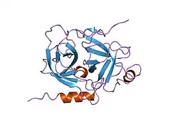 1mza: crystal structure of human pro-granzyme K