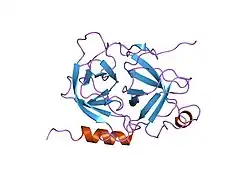 1mzd: crystal structure of human pro-granzyme K