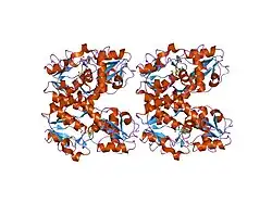 1n0t: X-ray structure of the GluR2 ligand-binding core (S1S2J) in complex with the antagonist (S)-ATPO at 2.1 A resolution.