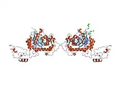 1nf7: Ternary complex of the human type II Inosine Monophosphate Dedhydrogenase with Ribavirin Monophosphate and C2-Mycophenolic Adenine Dinucleotide