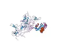 1nmv: Solution structure of human Pin1