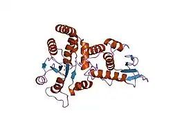 1ohd: STRUCTURE OF CDC14 IN COMPLEX WITH TUNGSTATE