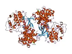1ol2: CYCLIN A BINDING GROOVE INHIBITOR H-ARG-ARG-LEU-ASN-(P-F-PHE)-NH2