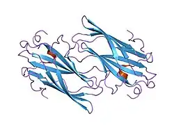 1om9: Structure of the GGA1-appendage in complex with the p56 binding peptide