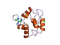 1omd: STRUCTURE OF ONCOMODULIN REFINED AT 1.85 ANGSTROMS RESOLUTION. AN EXAMPLE OF EXTENSIVE MOLECULAR AGGREGATION VIA CA2+