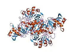1ooy: SUCCINYL-COA:3-KETOACID COA TRANSFERASE FROM PIG HEART