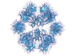 1otz: Crystal structure of the BAFF-BAFF-R complex (part I)