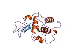 1oui: CONTRIBUTION OF HYDROPHOBIC RESIDUES TO THE STABILITY OF HUMAN LYSOZYME: X-RAY STRUCTURE OF THE V93A MUTANT