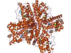 1ovl: Crystal Structure of Nurr1 LBD